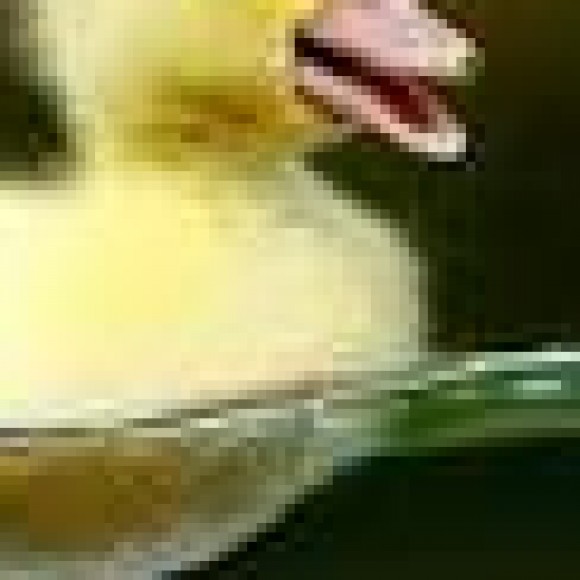 Profile photo of wasantha kumara