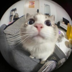 Profile photo of darsh