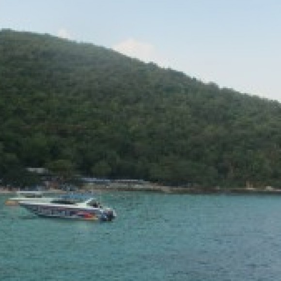 Profile photo of namar