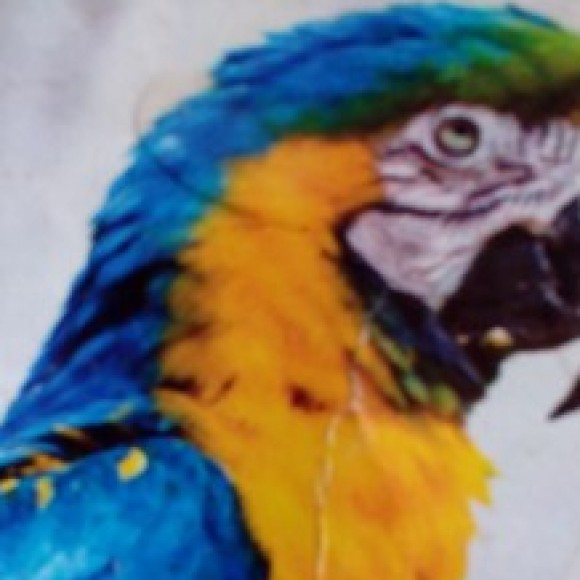 Profile photo of Guest 499