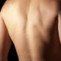 Profile photo of Walt