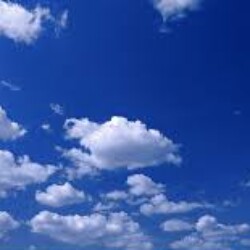 Profile photo of sameera