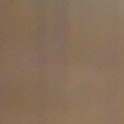 Profile photo of Ravi