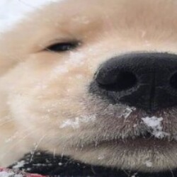 Profile photo of oof06330