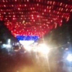 Profile photo of Charitha