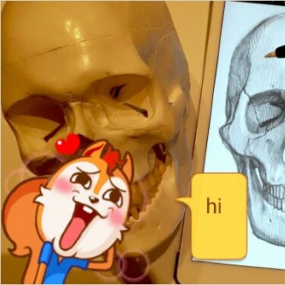 Profile photo of kalum perera