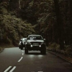 Profile photo of Madusanka