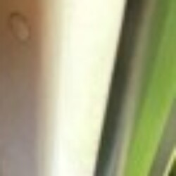 Profile photo of Supun Madushanka