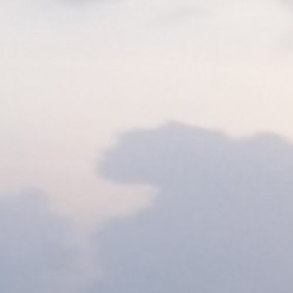 Profile photo of dasun