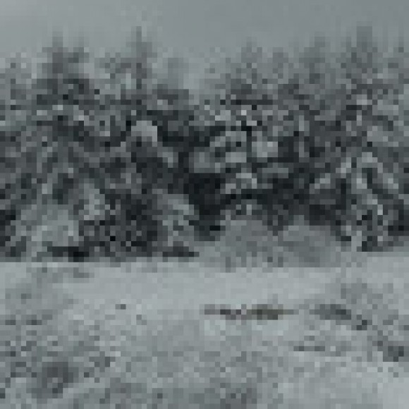 Profile photo of rajitha setasinghe