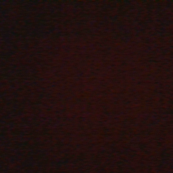 Profile photo of Hashan