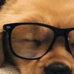 Profile photo of bestpostst