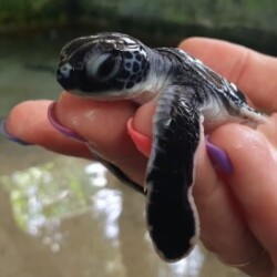 Profile picture of Chris