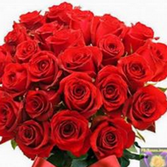 Profile photo of upali