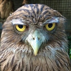 Profile photo of Isaac