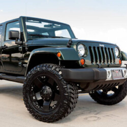 Profile photo of Rohana85