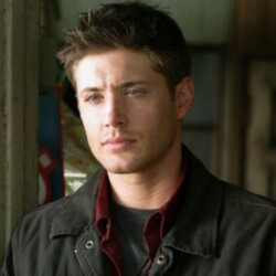 Profile photo of Phoenix