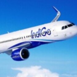 Profile photo of Divorced tamil guy