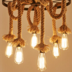 Profile photo of Vishwa fernando