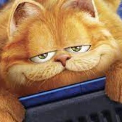 Profile photo of Garfield