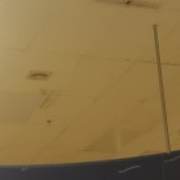 Profile picture of Roy