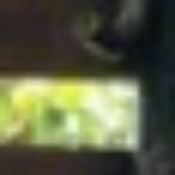 Profile picture of Shenal