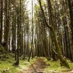 Profile photo of Niroshan