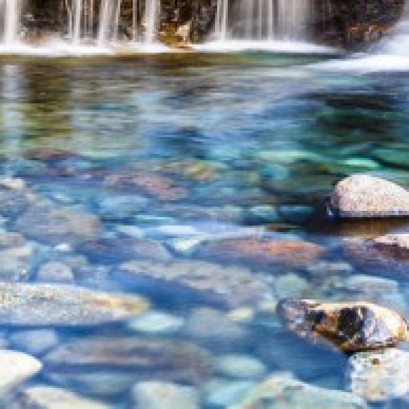 Profile photo of ogk kamal okandagama