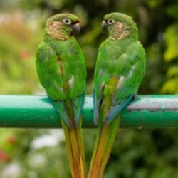 Profile photo of sadaruwan