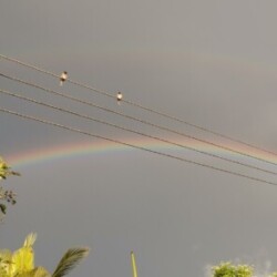 Profile photo of ForLove