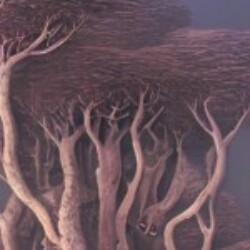 Profile picture of Nethmi