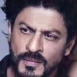 Profile picture of APK