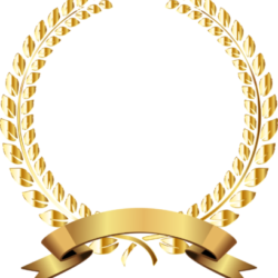 Profile photo of Nishali fernando