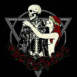 Profile picture of Shenka