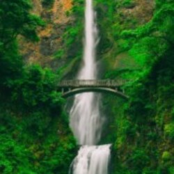 Profile picture of Sadun