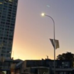 Profile picture of Shehan