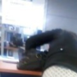 Profile photo of Sameera 36 M