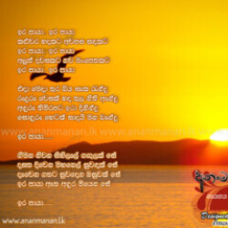 Profile photo of Sahanka