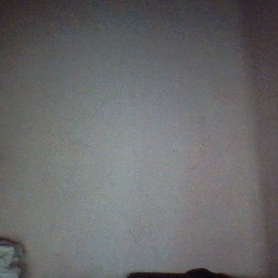 Profile picture of murali