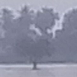 Profile photo of Nizam