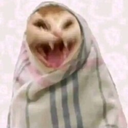 Profile photo of Shatzi Bro