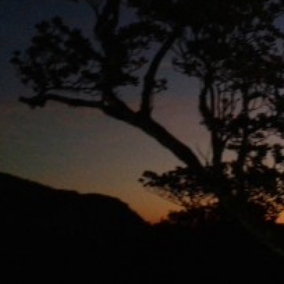 Profile photo of nowtyboy