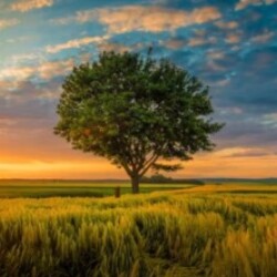 Profile picture of David Ab