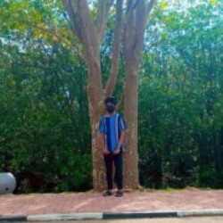 Profile picture of Kaveesh