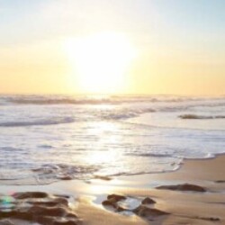 Profile photo of Kamal