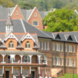 Profile picture of wal pkya