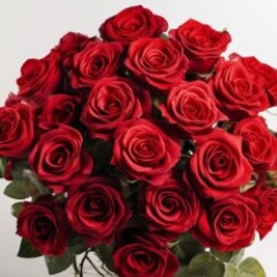 Profile photo of Roshan14547