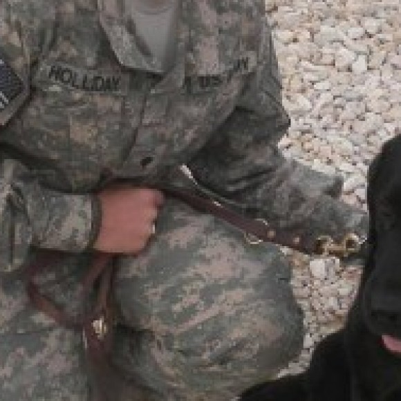 Profile picture of mukuru