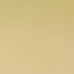 Profile photo of Sandaruwan