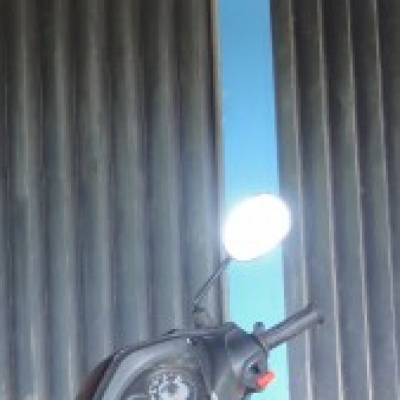 Profile photo of Karan